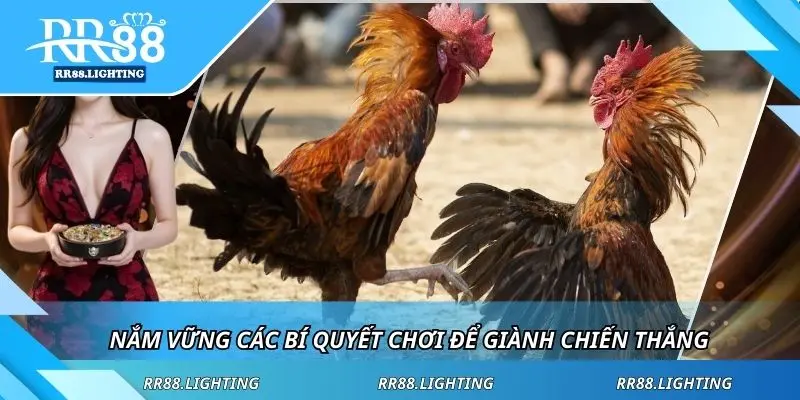 Nắm vững các bí quyết chơi để giành chiến thắng