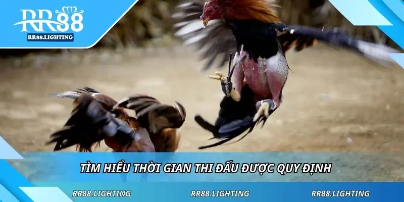 Tìm hiểu thời gian thi đấu được quy định